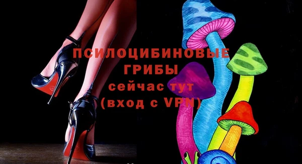 ПСИЛОЦИБИНОВЫЕ ГРИБЫ Бугульма