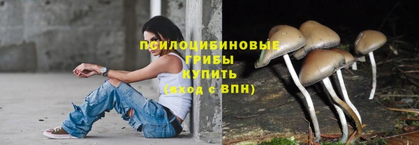 гидропоника Бронницы