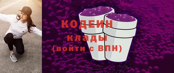 дурь Бородино