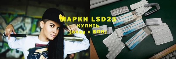 дурь Бородино