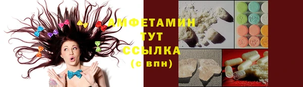 дурь Бородино