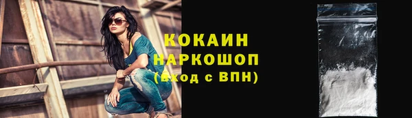 дурь Бородино