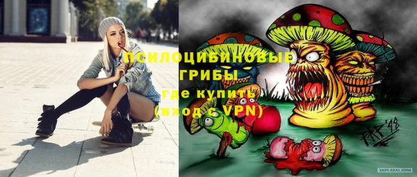 гидропоника Бронницы