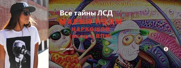 дурь Бородино