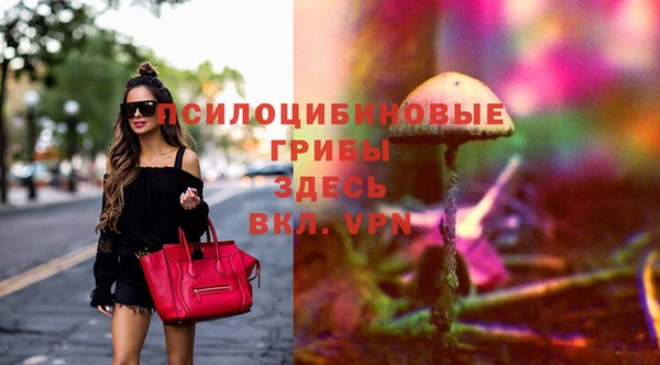 ПСИЛОЦИБИНОВЫЕ ГРИБЫ Бугульма
