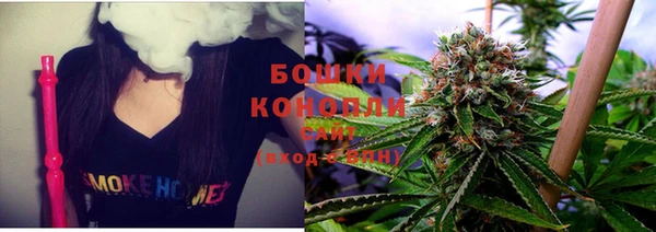 дурь Бородино