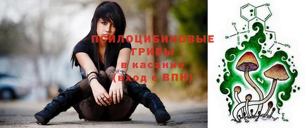 ПСИЛОЦИБИНОВЫЕ ГРИБЫ Бугульма