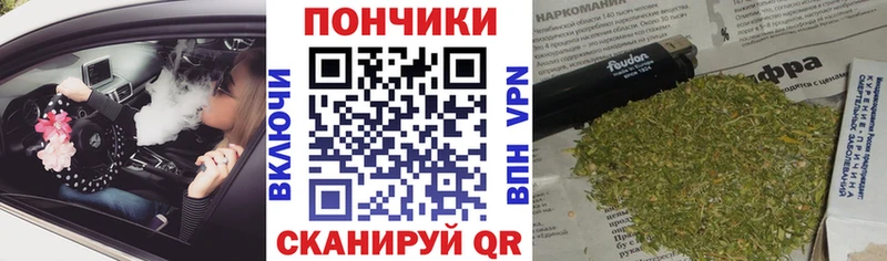Купить закладки  Вилюйск  Бошки марихуана OG Kush 